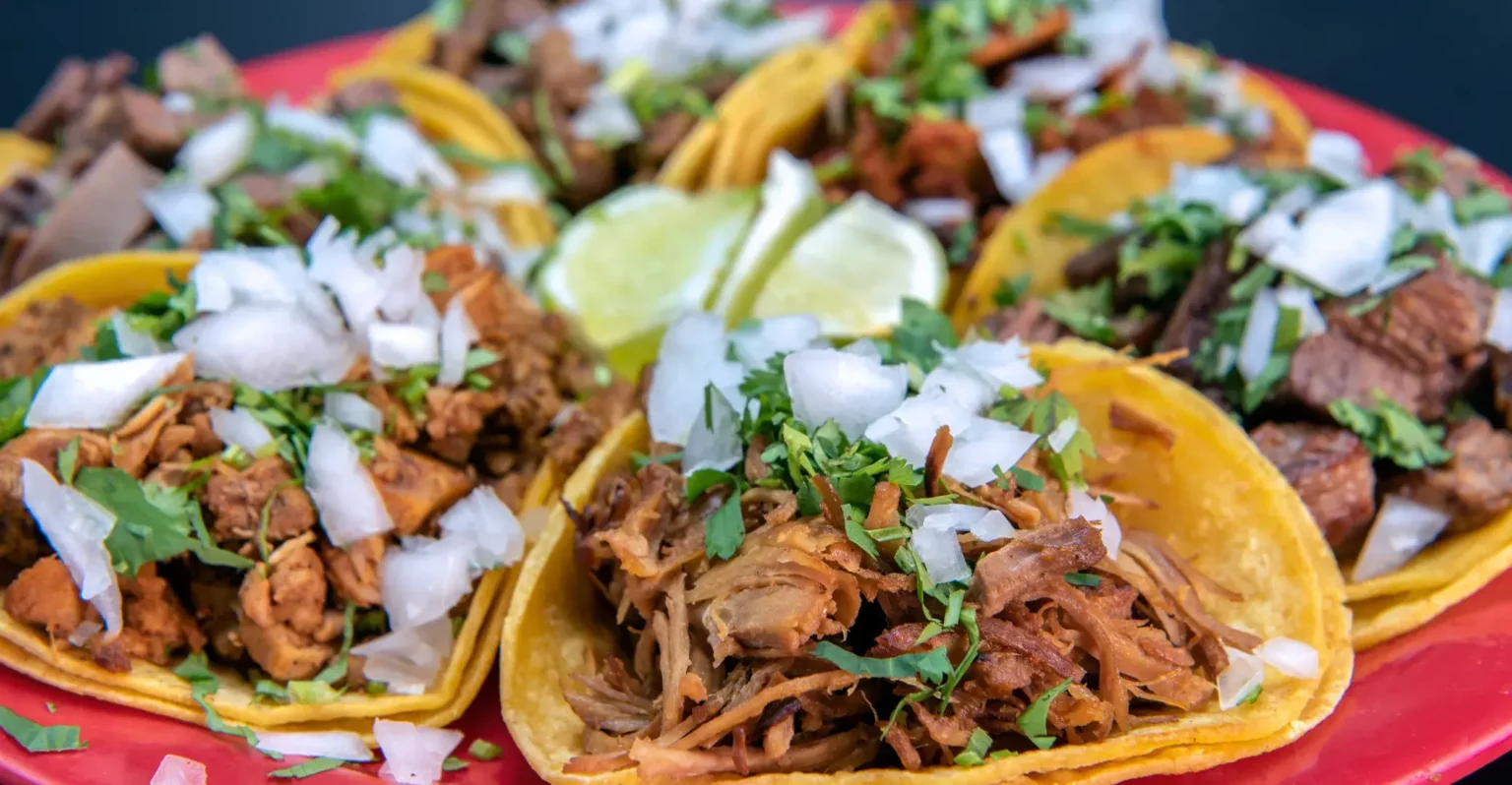 tacos el fogon Cantina & grill